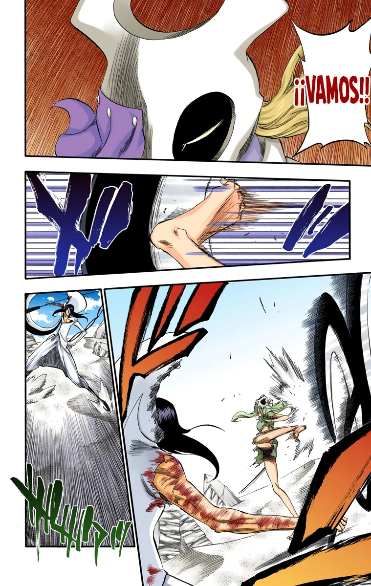 Bleach – Digital Colored Comics Capítulo 295 - Page 16