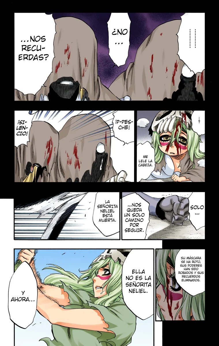 Bleach – Digital Colored Comics Capítulo 295 - Page 6