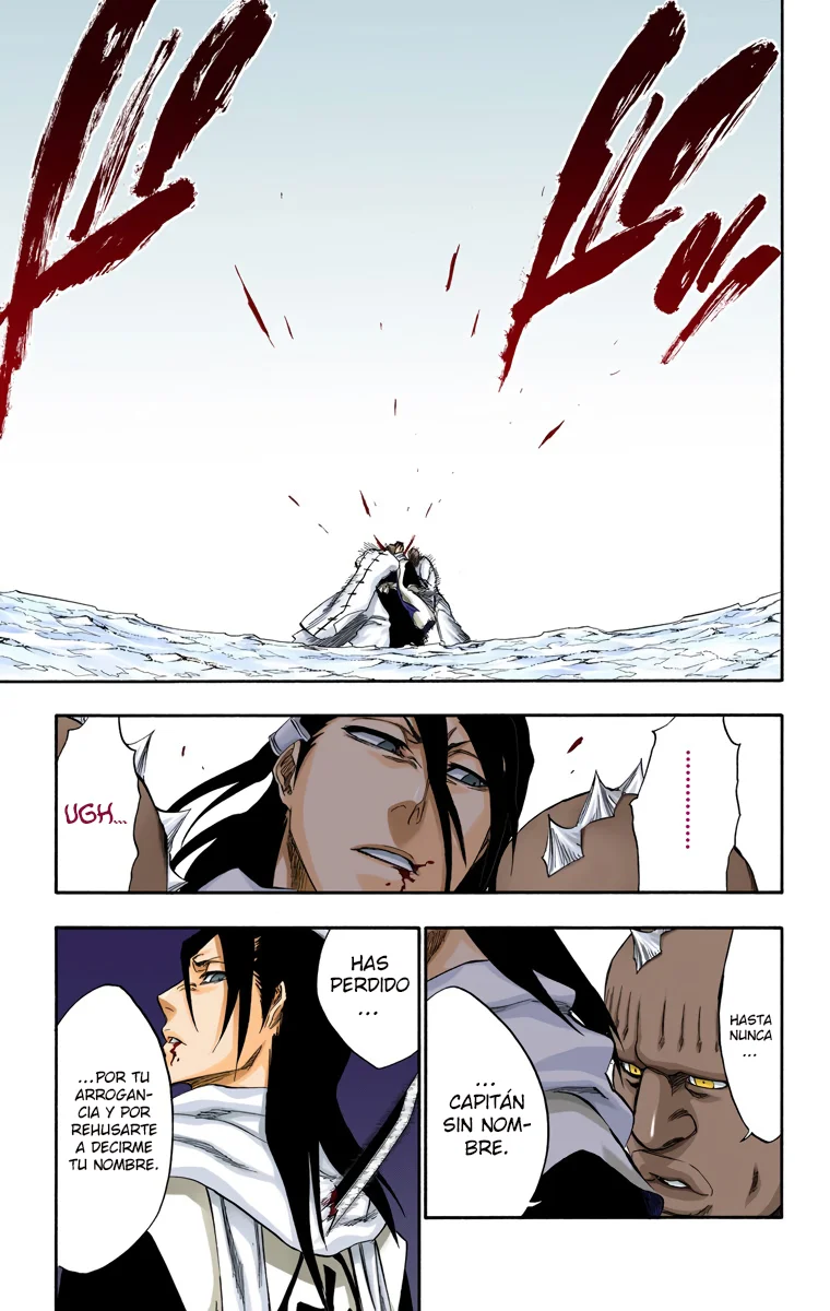 Bleach – Digital Colored Comics Capítulo 299 - Page 17