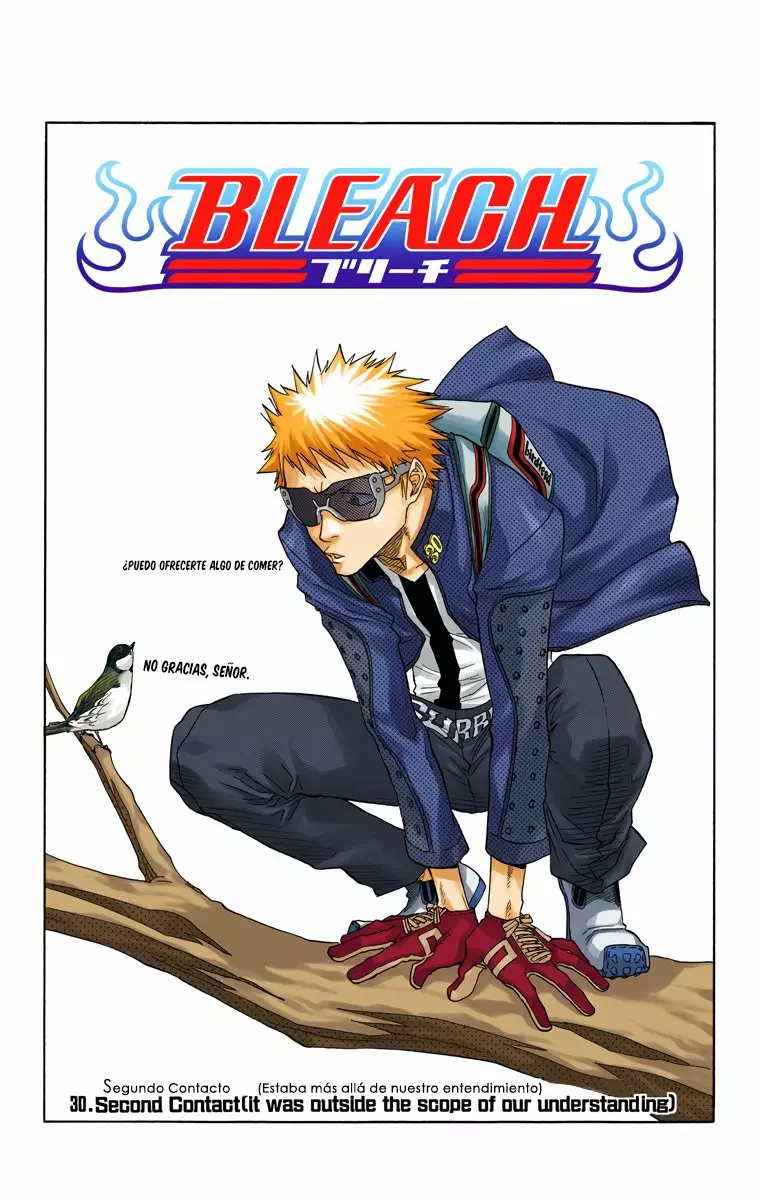 Bleach – Digital Colored Comics Capítulo 30 - Page 3