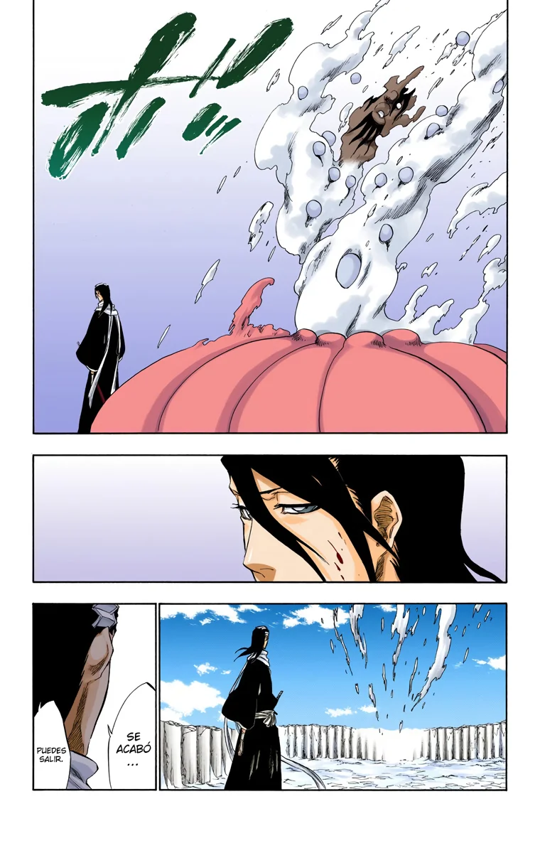 Bleach – Digital Colored Comics Capítulo 302 - Page 17