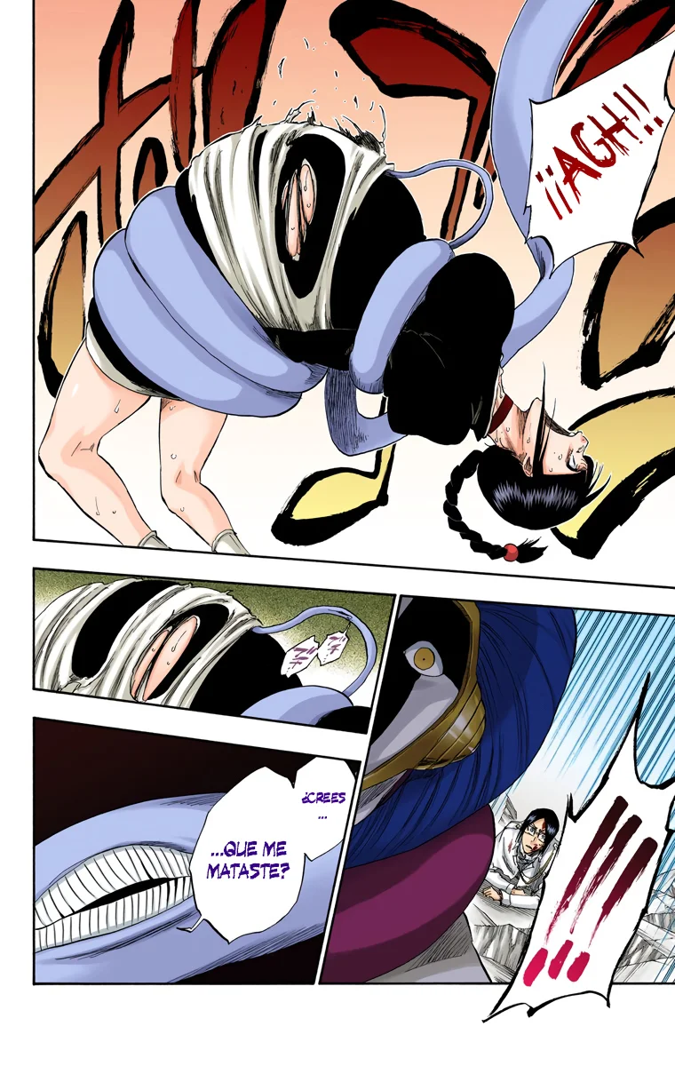 Bleach – Digital Colored Comics Capítulo 304 - Page 16