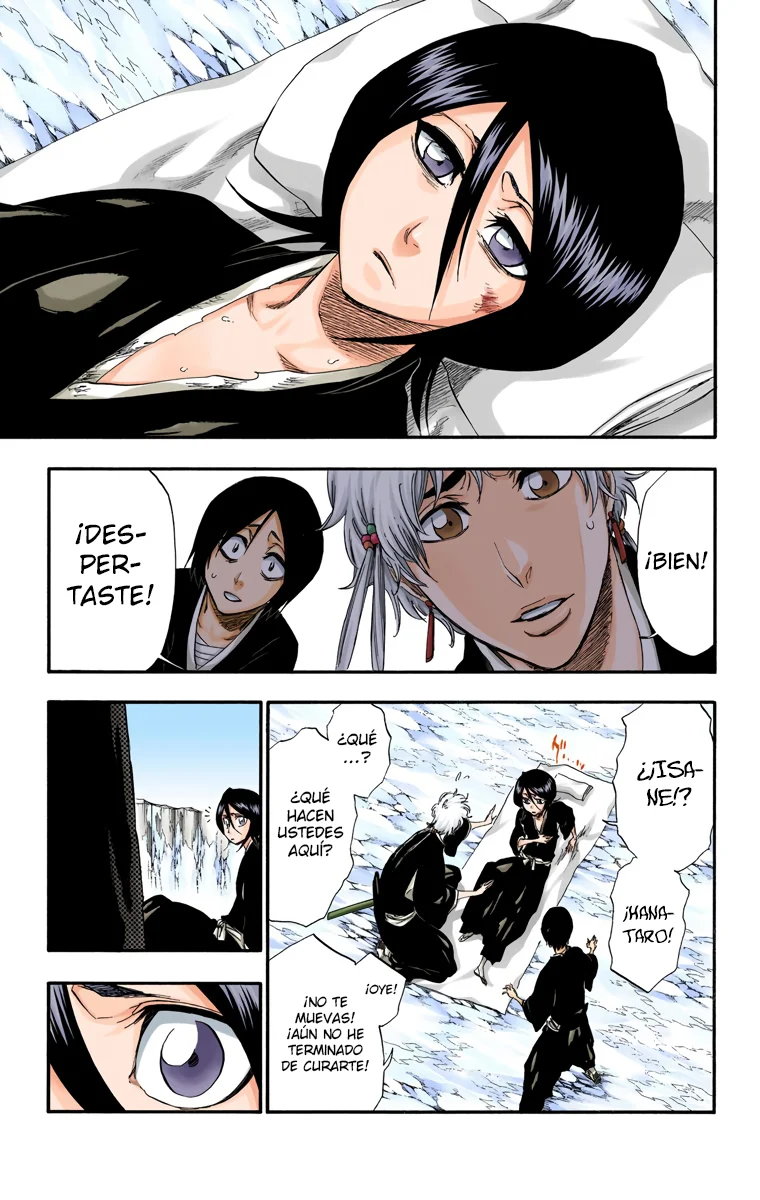 Bleach – Digital Colored Comics Capítulo 304 - Page 4