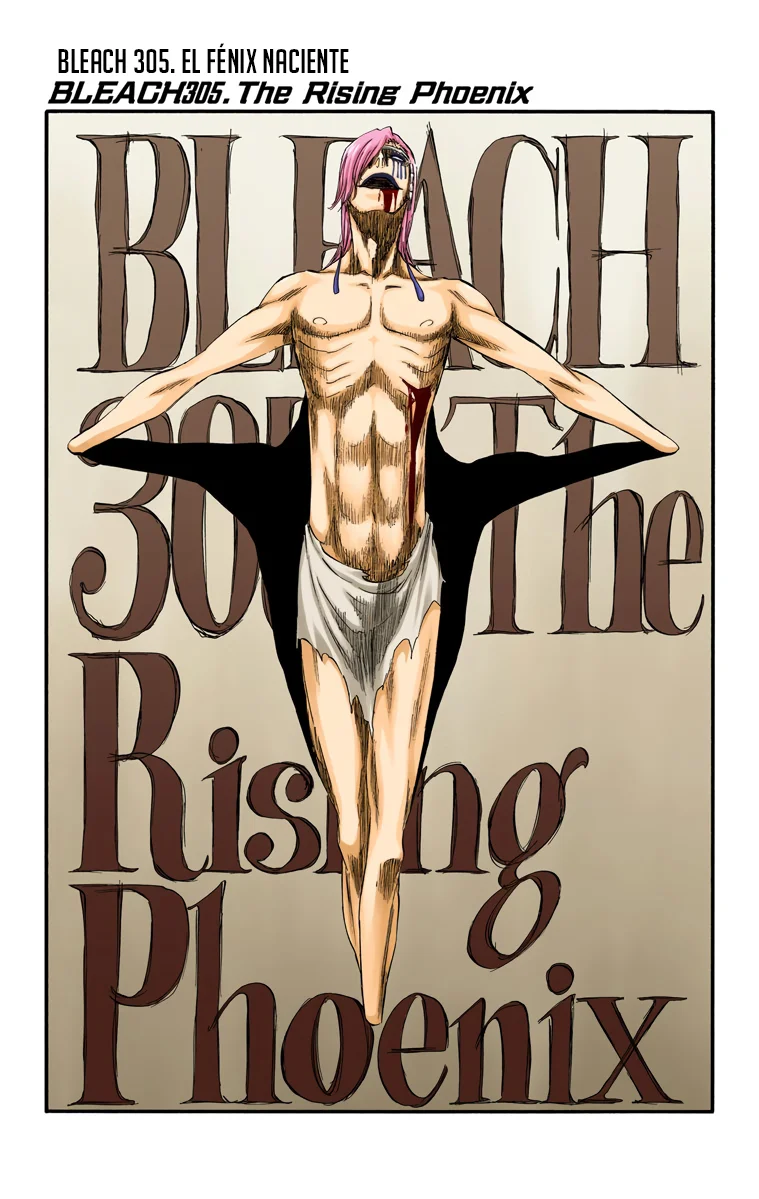 Bleach – Digital Colored Comics Capítulo 305 - Page 5