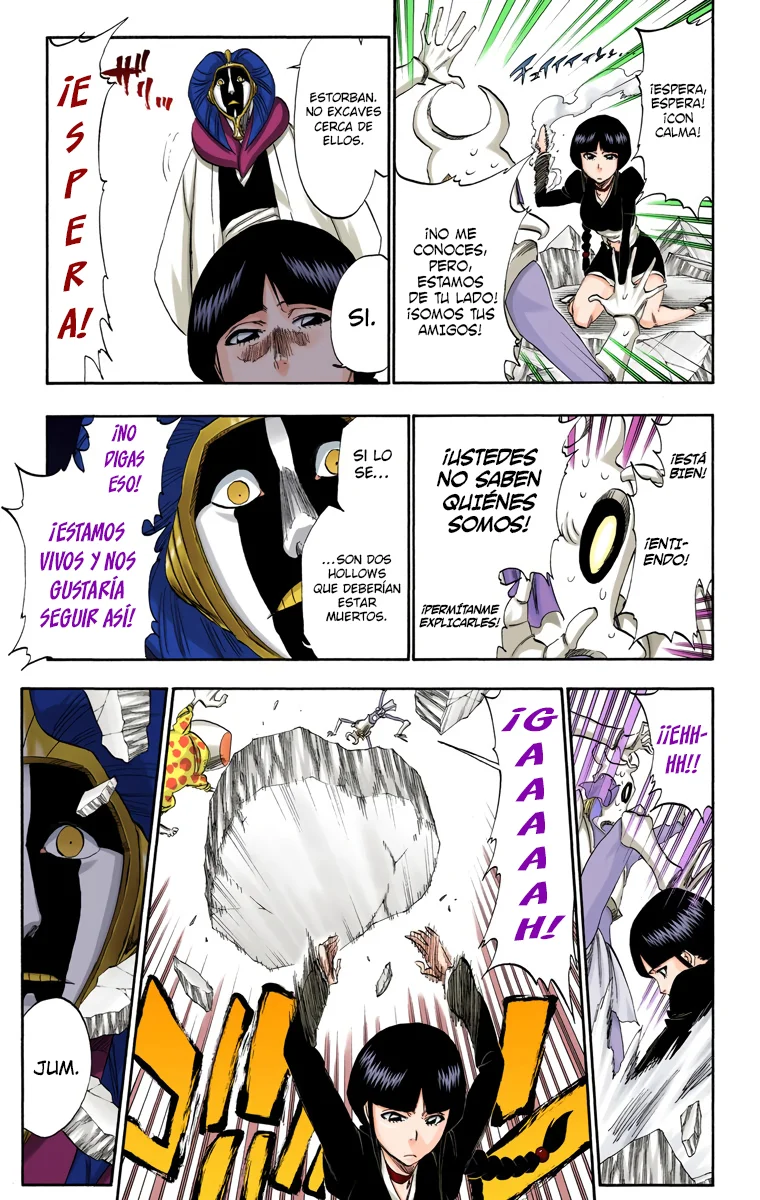 Bleach – Digital Colored Comics Capítulo 306 - Page 18