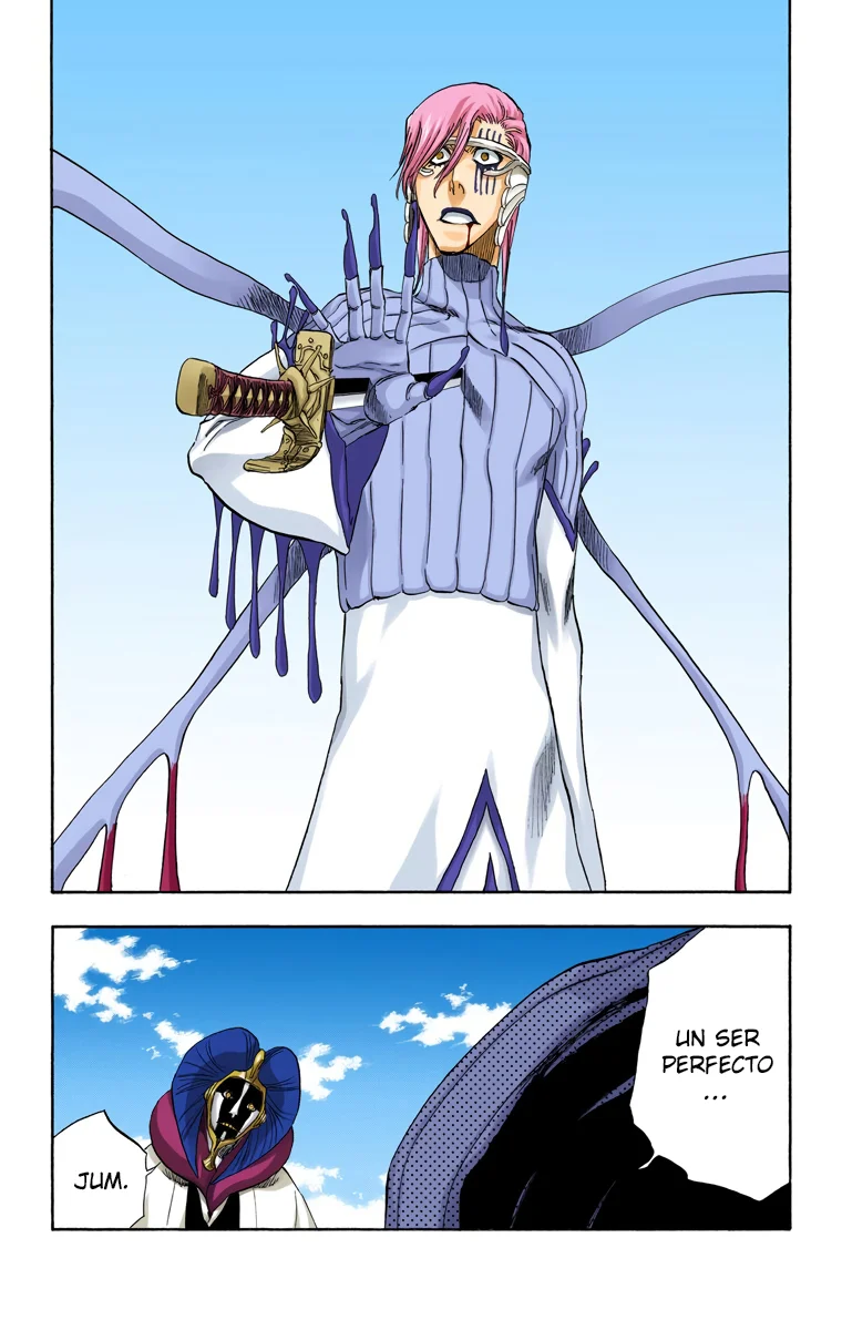 Bleach – Digital Colored Comics Capítulo 306 - Page 8