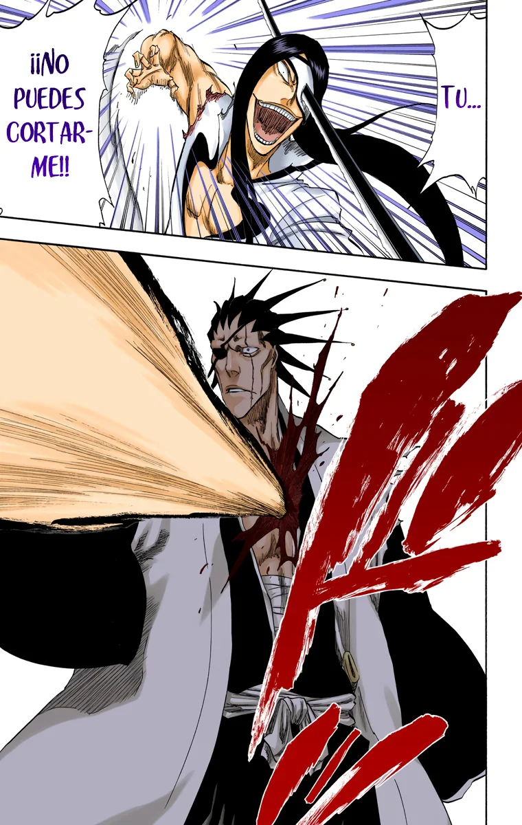 Bleach – Digital Colored Comics Capítulo 307 - Page 18