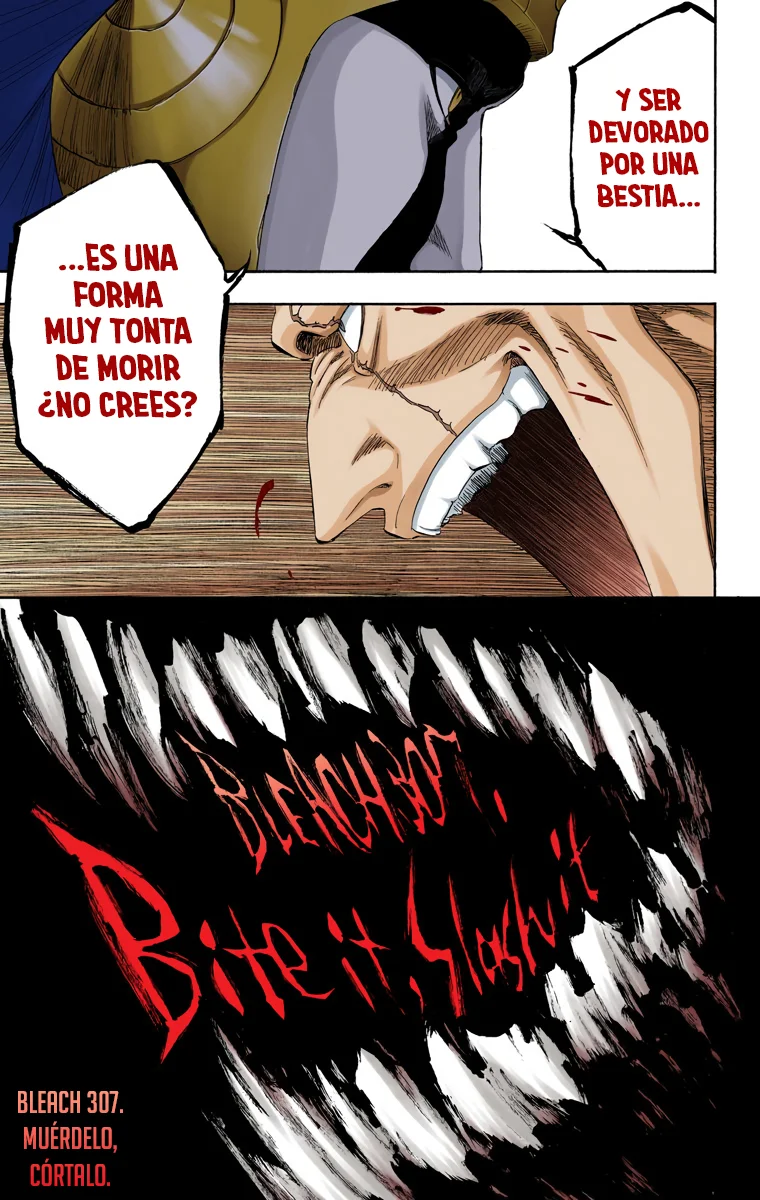 Bleach – Digital Colored Comics Capítulo 307 - Page 6