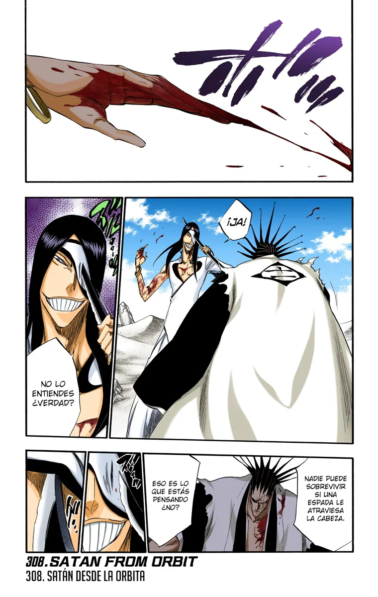 Bleach – Digital Colored Comics Capítulo 308 - Page 2
