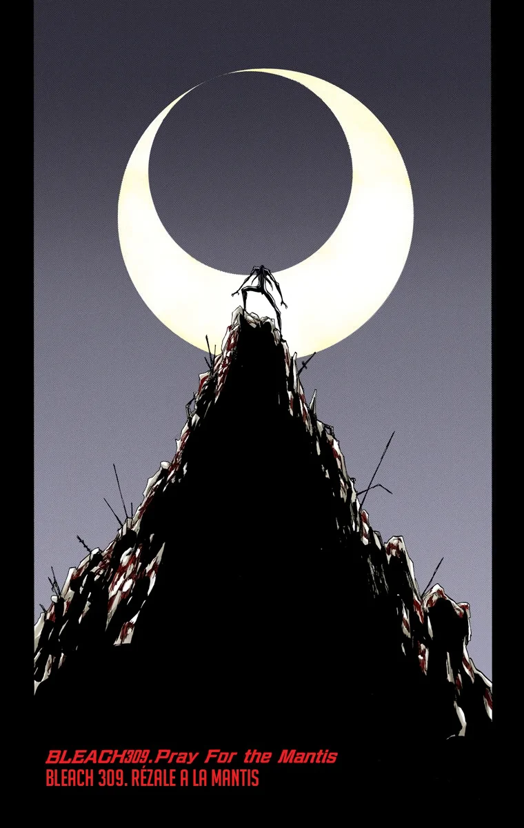 Bleach – Digital Colored Comics Capítulo 309 - Page 9