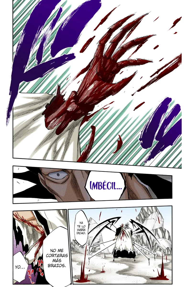 Bleach – Digital Colored Comics Capítulo 310 - Page 19