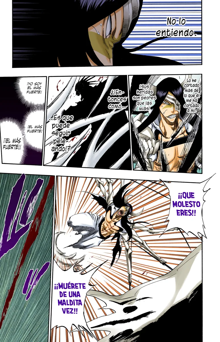 Bleach – Digital Colored Comics Capítulo 311 - Page 14
