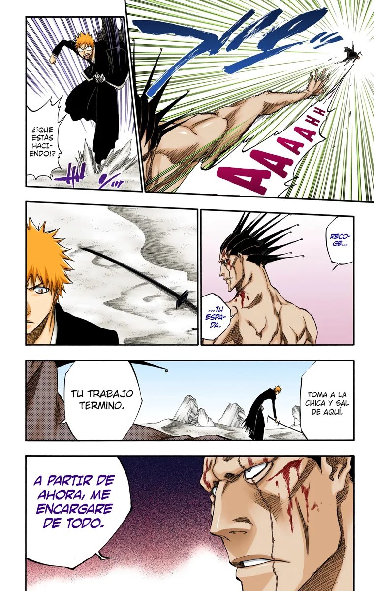 Bleach – Digital Colored Comics Capítulo 313 - Page 13