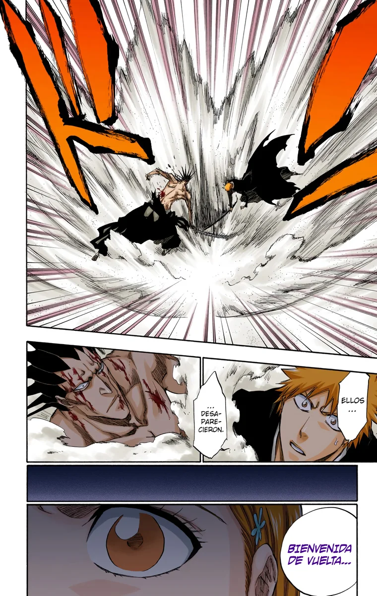 Bleach – Digital Colored Comics Capítulo 313 - Page 17