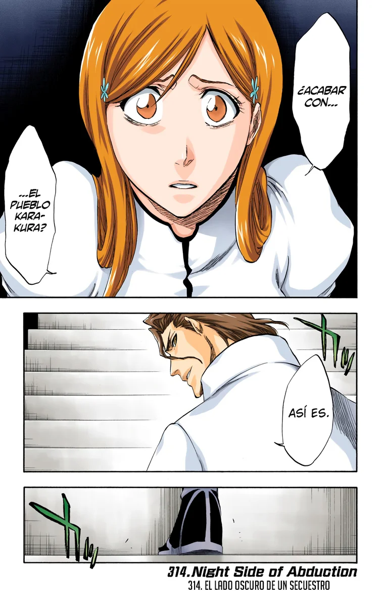 Bleach – Digital Colored Comics Capítulo 314 - Page 2