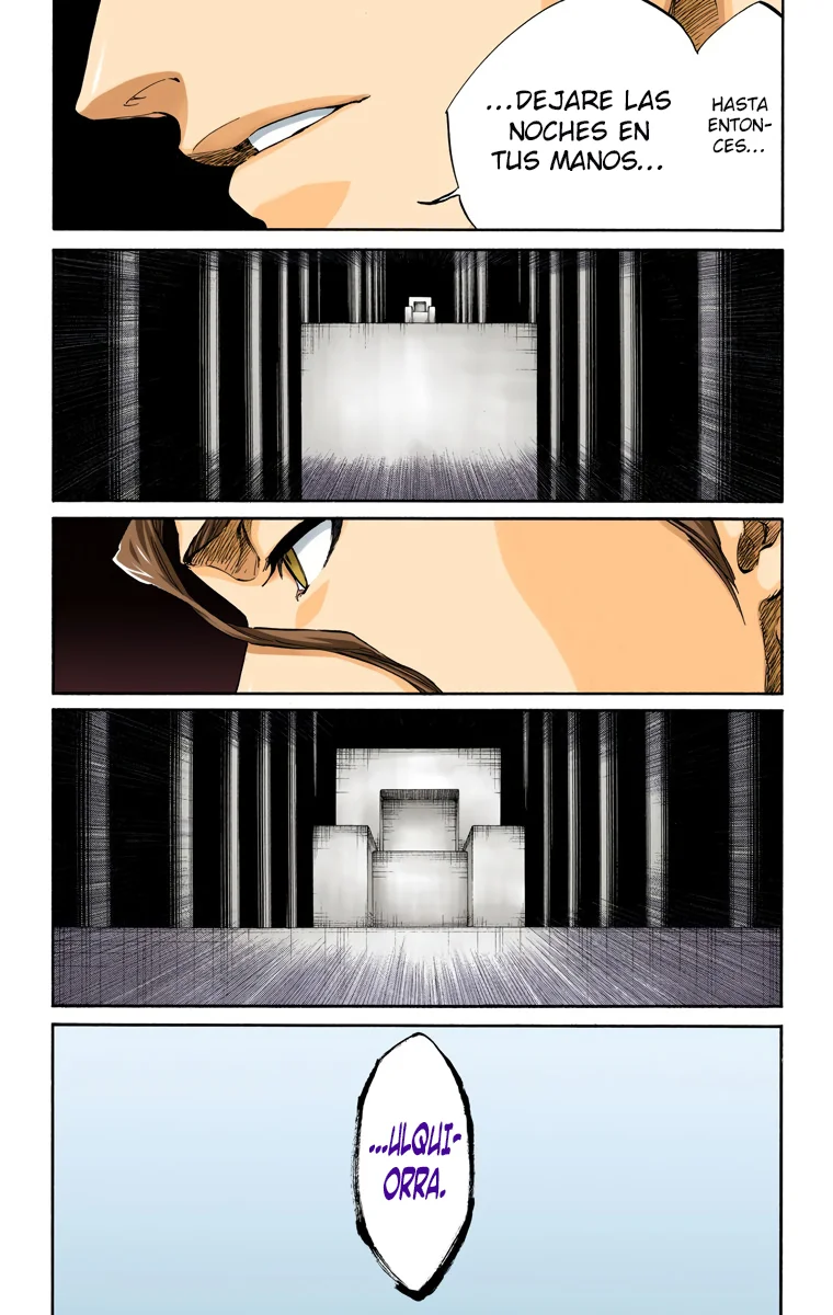 Bleach – Digital Colored Comics Capítulo 315 - Page 13