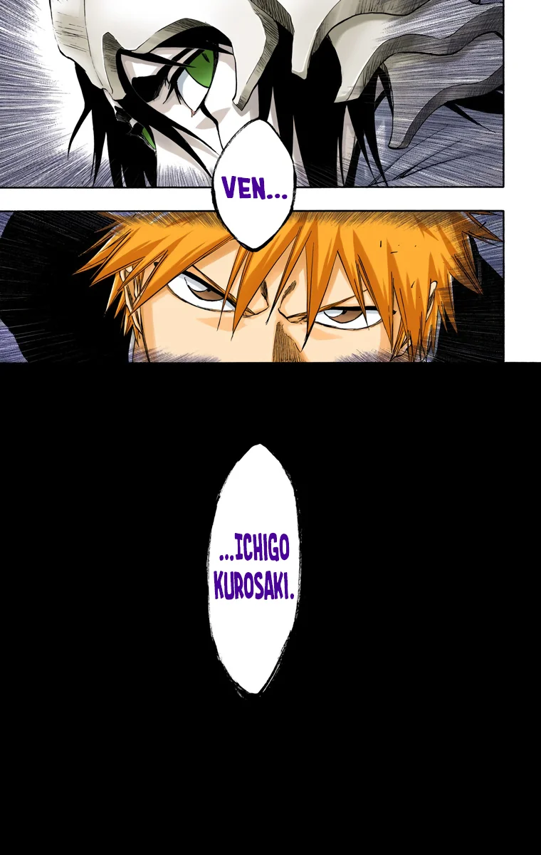 Bleach – Digital Colored Comics Capítulo 315 - Page 17