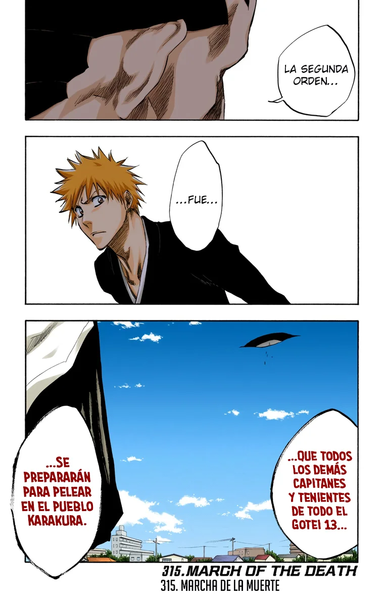 Bleach – Digital Colored Comics Capítulo 315 - Page 2