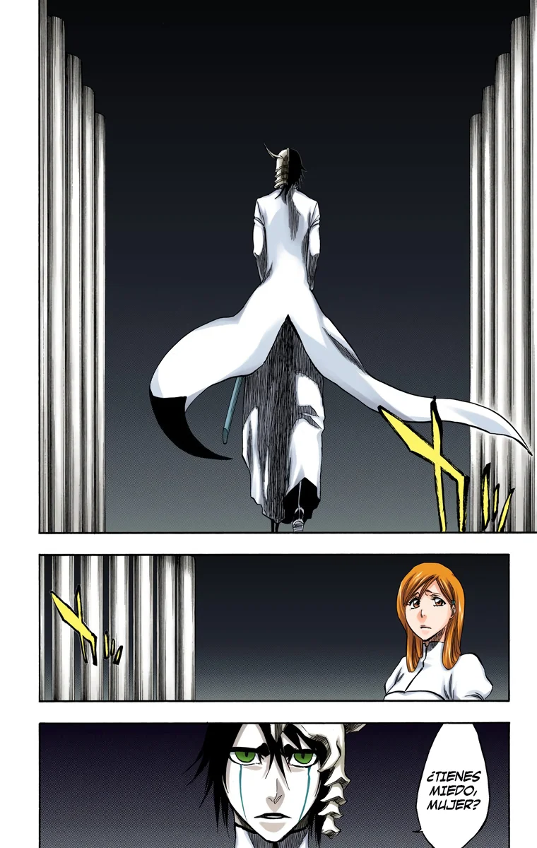 Bleach – Digital Colored Comics Capítulo 316 - Page 15