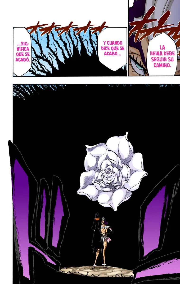 Bleach – Digital Colored Comics Capítulo 321 - Page 13