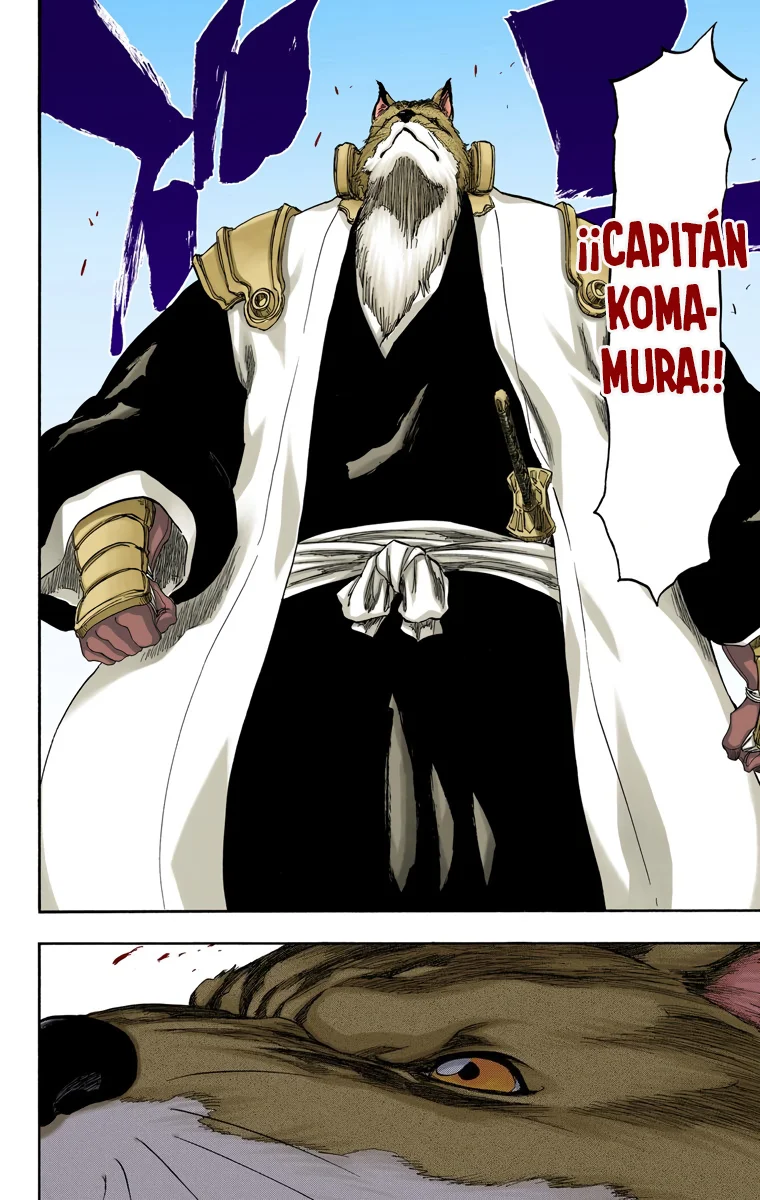 Bleach – Digital Colored Comics Capítulo 326 - Page 13