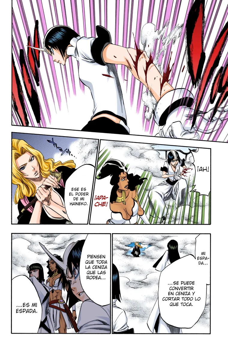 Bleach – Digital Colored Comics Capítulo 330 - Page 11