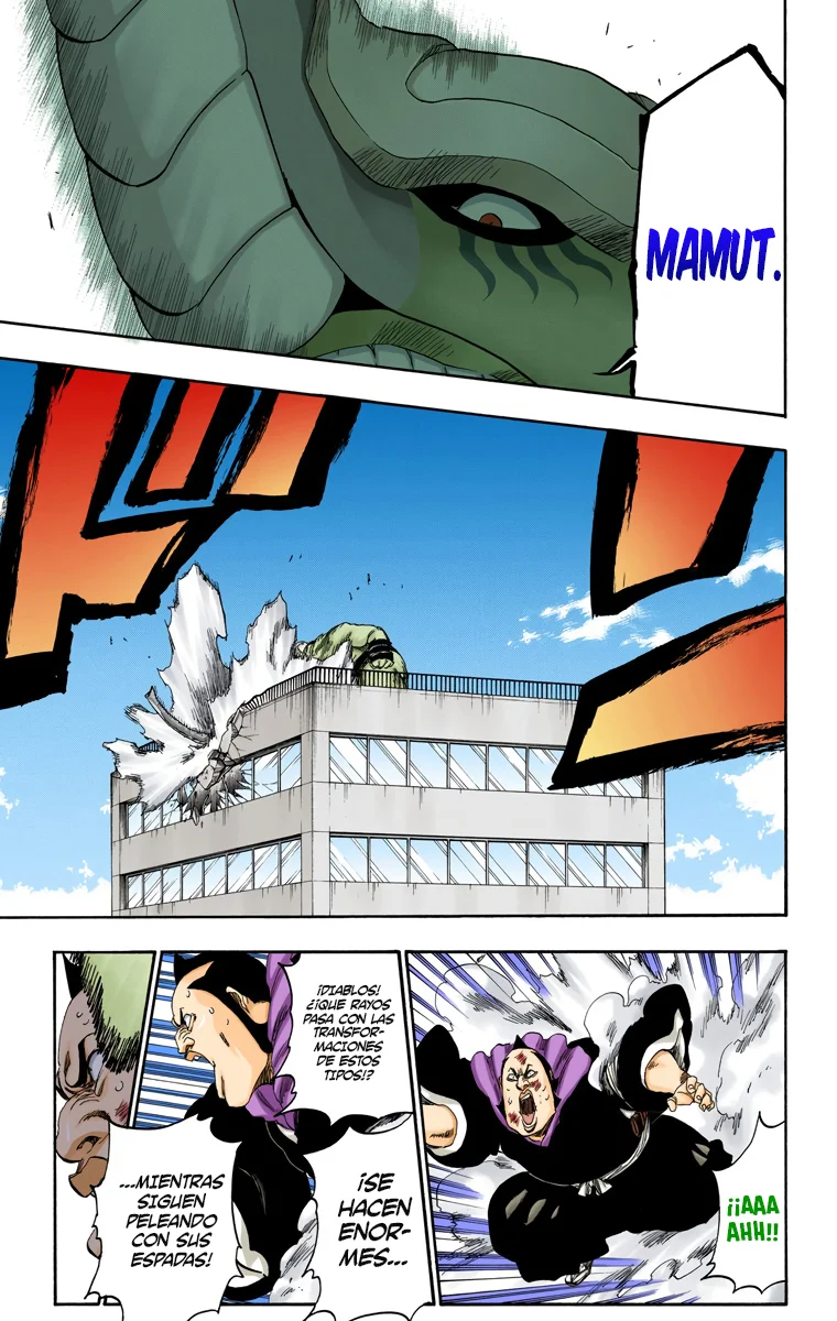 Bleach – Digital Colored Comics Capítulo 331 - Page 14