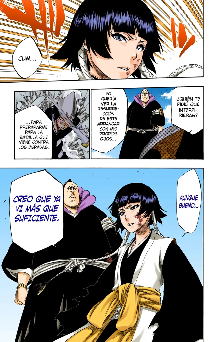 Bleach – Digital Colored Comics Capítulo 332 - Page 24