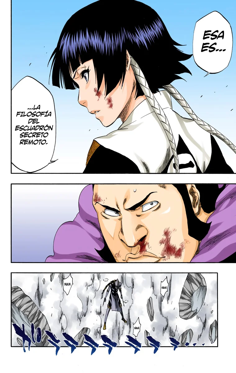 Bleach – Digital Colored Comics Capítulo 333 - Page 5