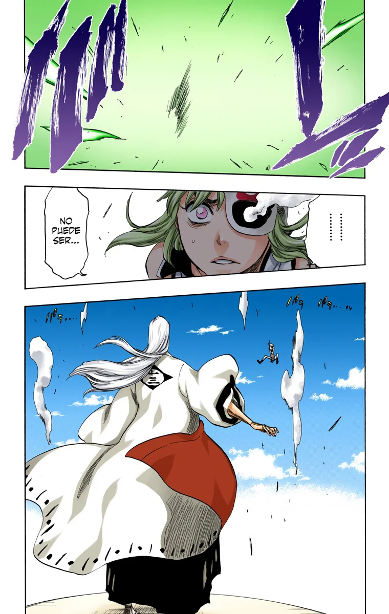 Bleach – Digital Colored Comics Capítulo 336 - Page 13