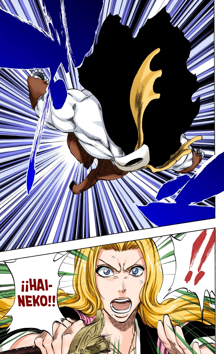 Bleach – Digital Colored Comics Capítulo 336 - Page 6