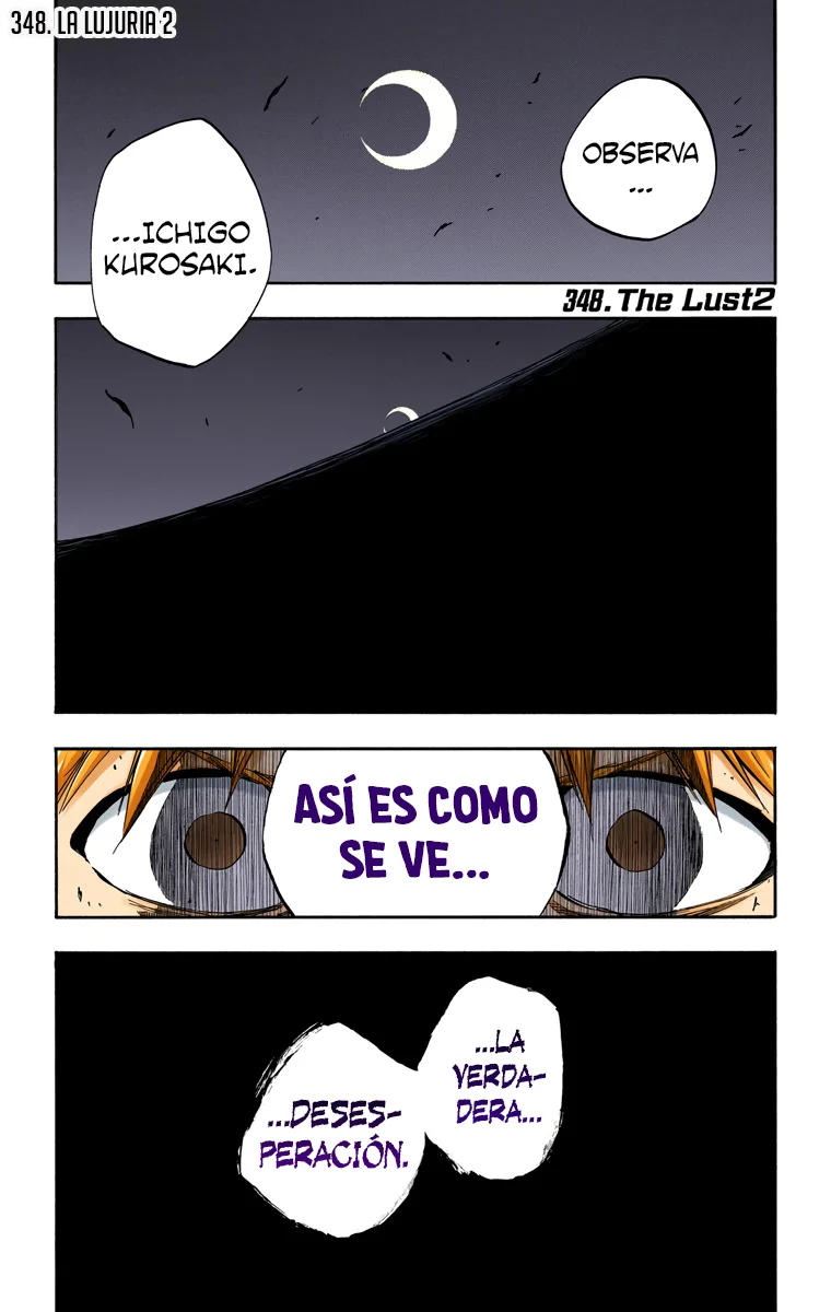 Bleach – Digital Colored Comics Capítulo 348 - Page 2
