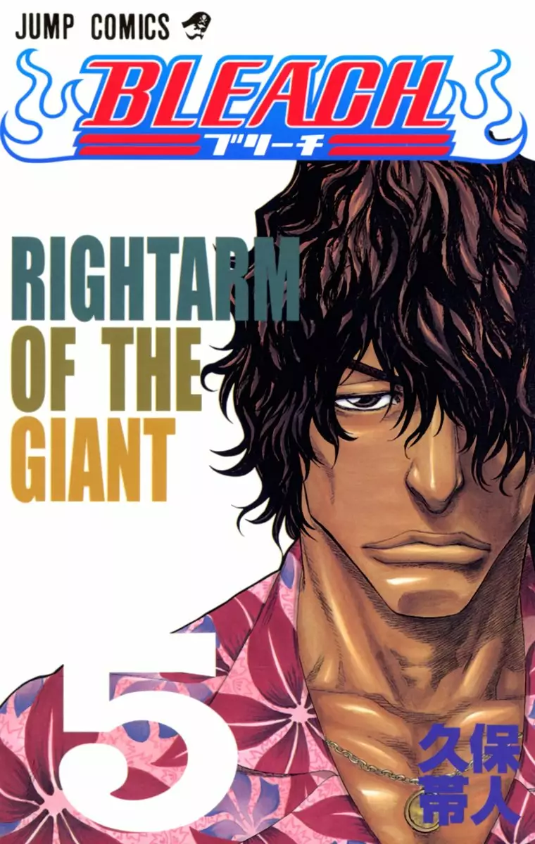 Bleach – Digital Colored Comics Capítulo 35 - Page 2