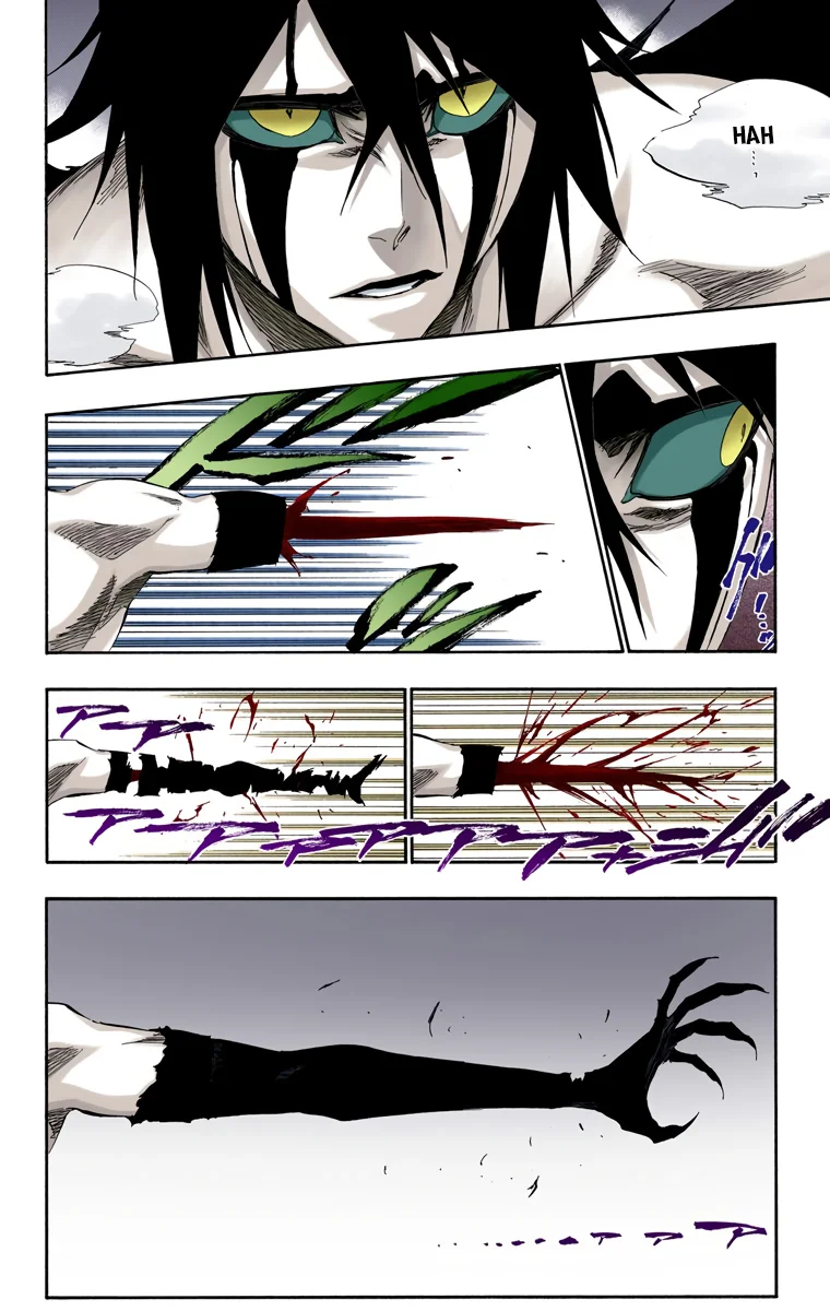 Bleach – Digital Colored Comics Capítulo 351 - Page 5
