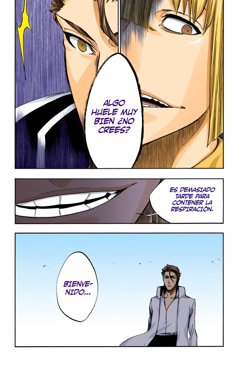 Bleach – Digital Colored Comics Capítulo 387 - Page 11