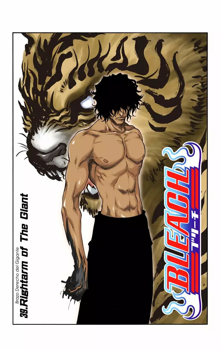 Bleach – Digital Colored Comics Capítulo 39 - Page 3