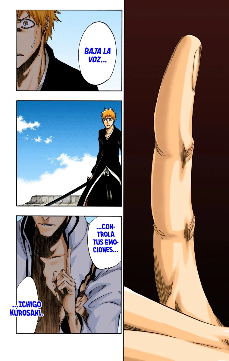 Bleach – Digital Colored Comics Capítulo 397 - Page 5