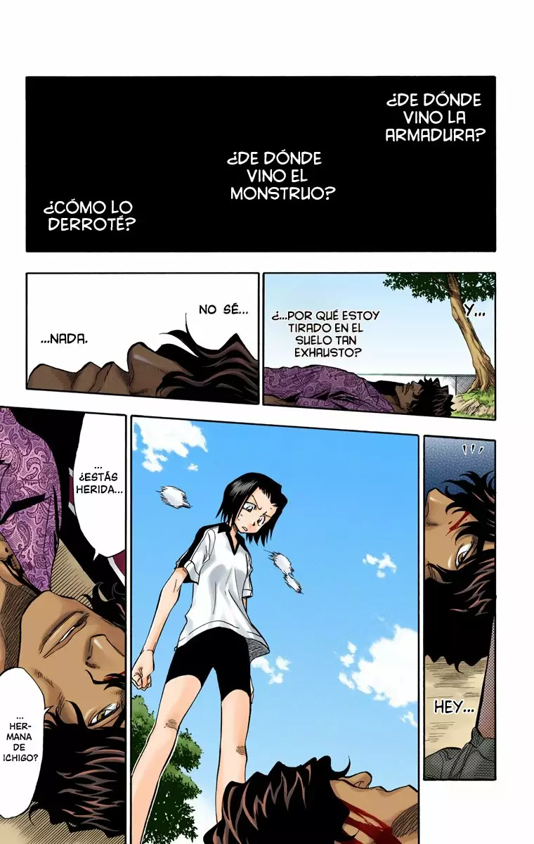 Bleach – Digital Colored Comics Capítulo 40 - Page 13