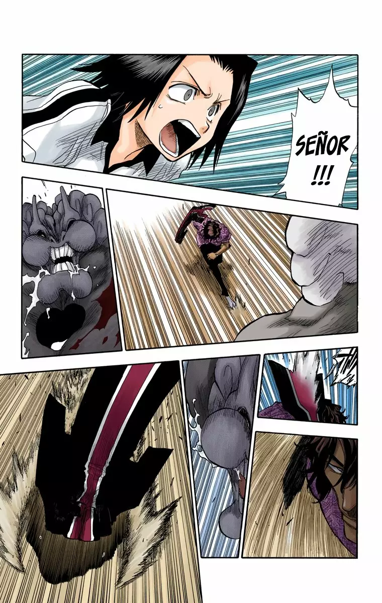 Bleach – Digital Colored Comics Capítulo 40 - Page 8