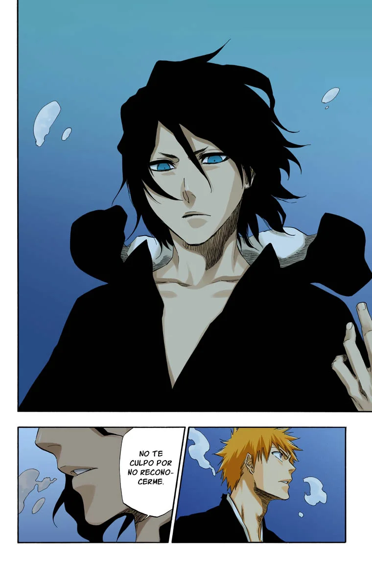 Bleach – Digital Colored Comics Capítulo 409 - Page 10
