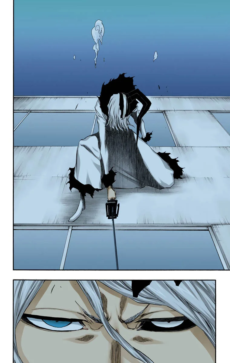 Bleach – Digital Colored Comics Capítulo 411 - Page 9