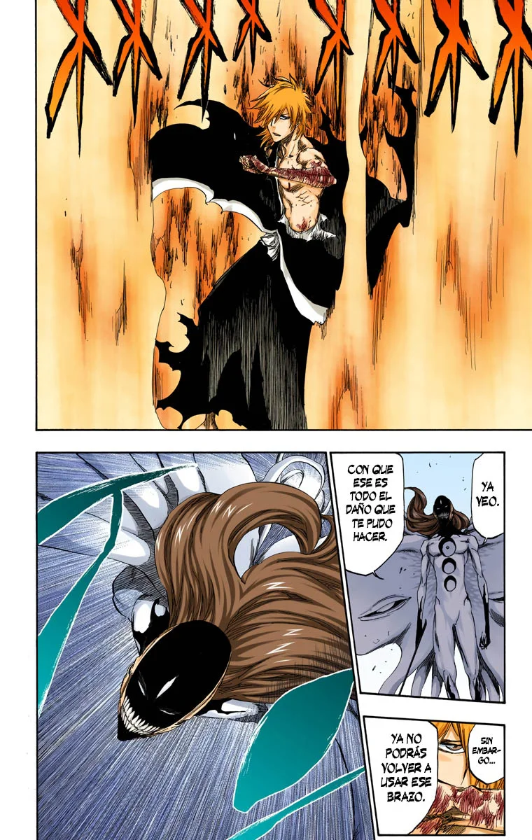 Bleach – Digital Colored Comics Capítulo 419 - Page 14