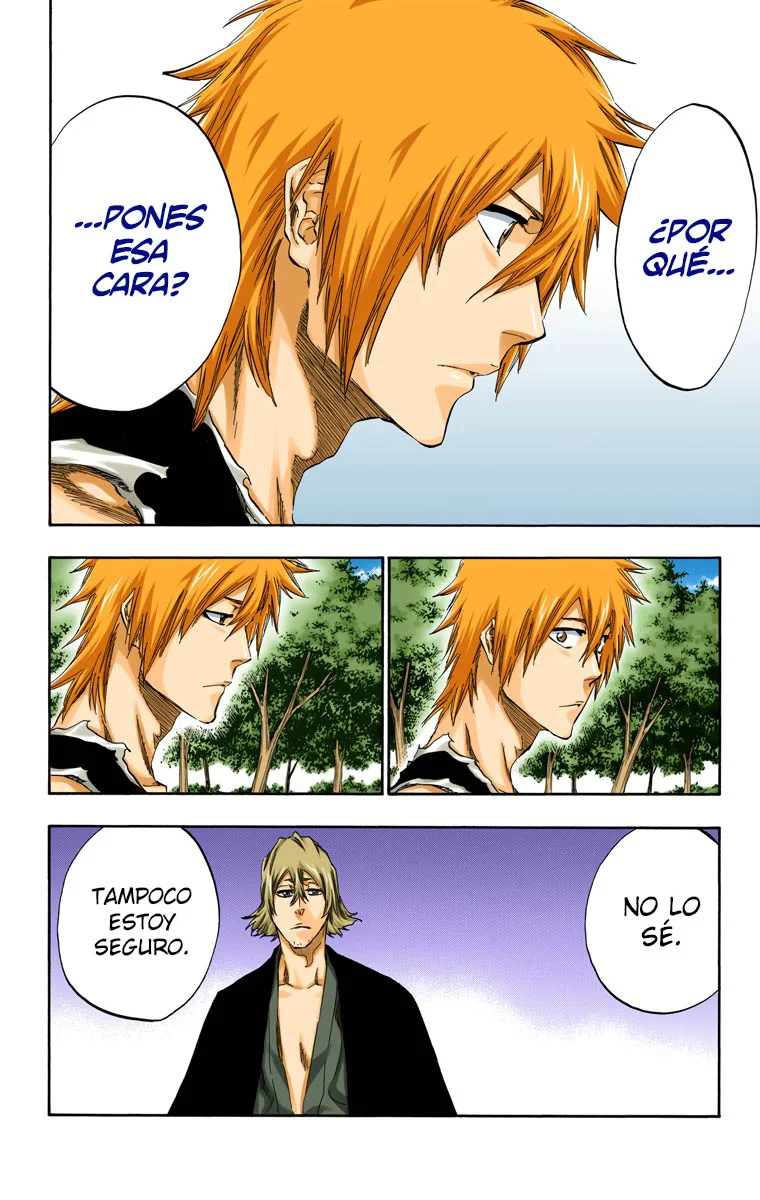 Bleach – Digital Colored Comics Capítulo 422 - Page 13