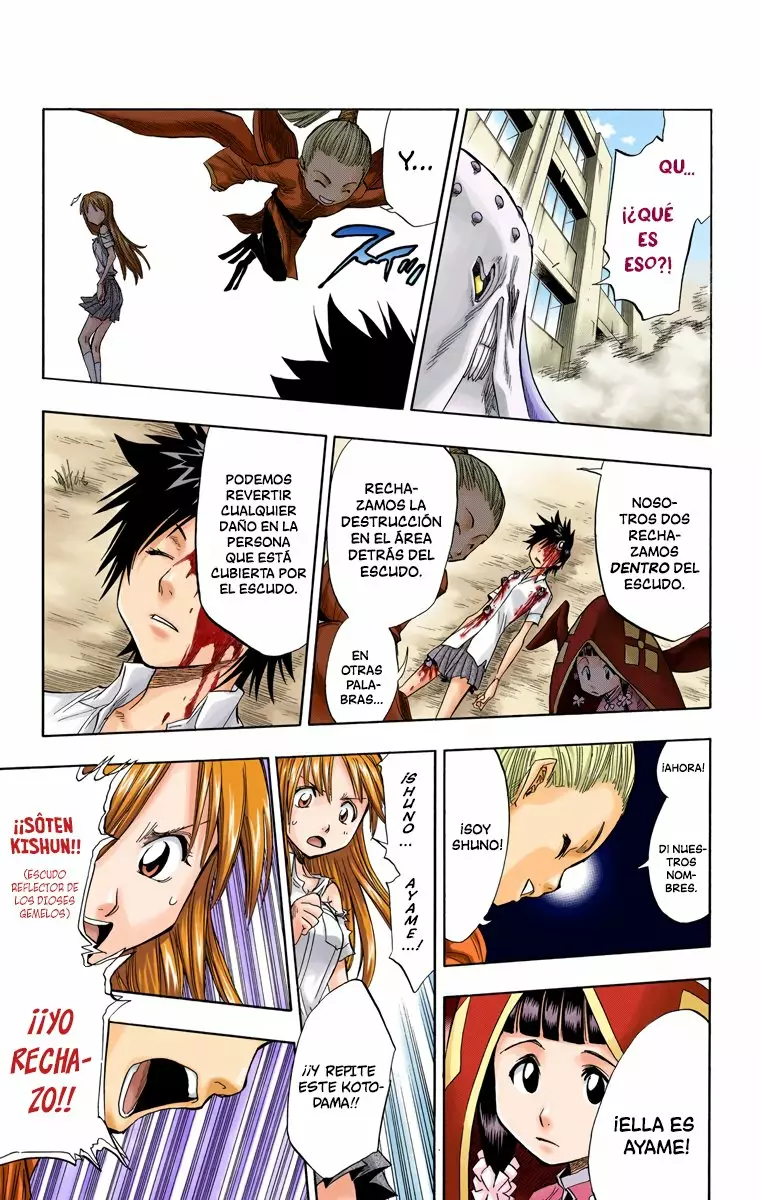Bleach – Digital Colored Comics Capítulo 43 - Page 14