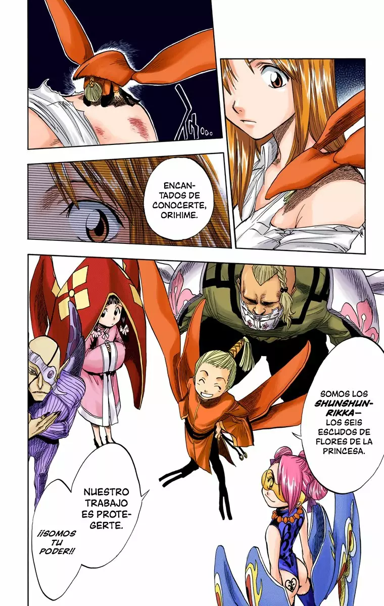 Bleach – Digital Colored Comics Capítulo 43 - Page 5