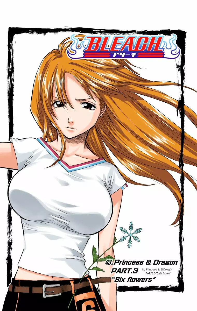 Bleach – Digital Colored Comics Capítulo 43 - Page 6