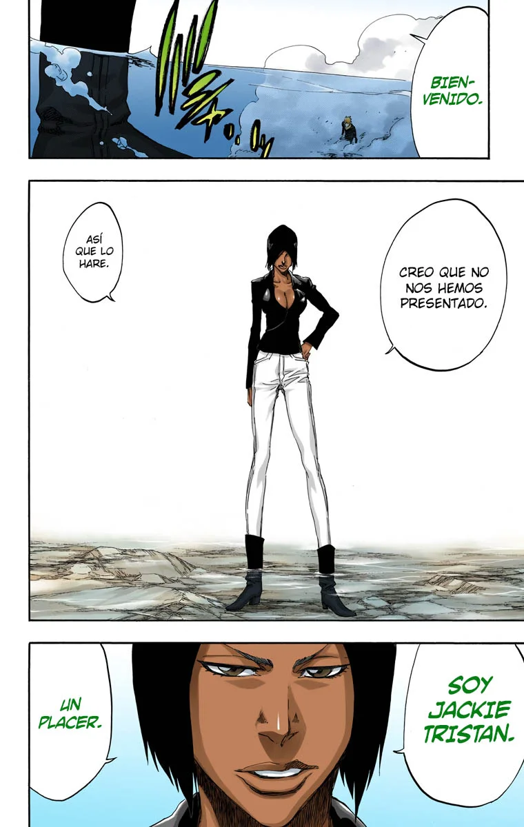 Bleach – Digital Colored Comics Capítulo 441 - Page 19