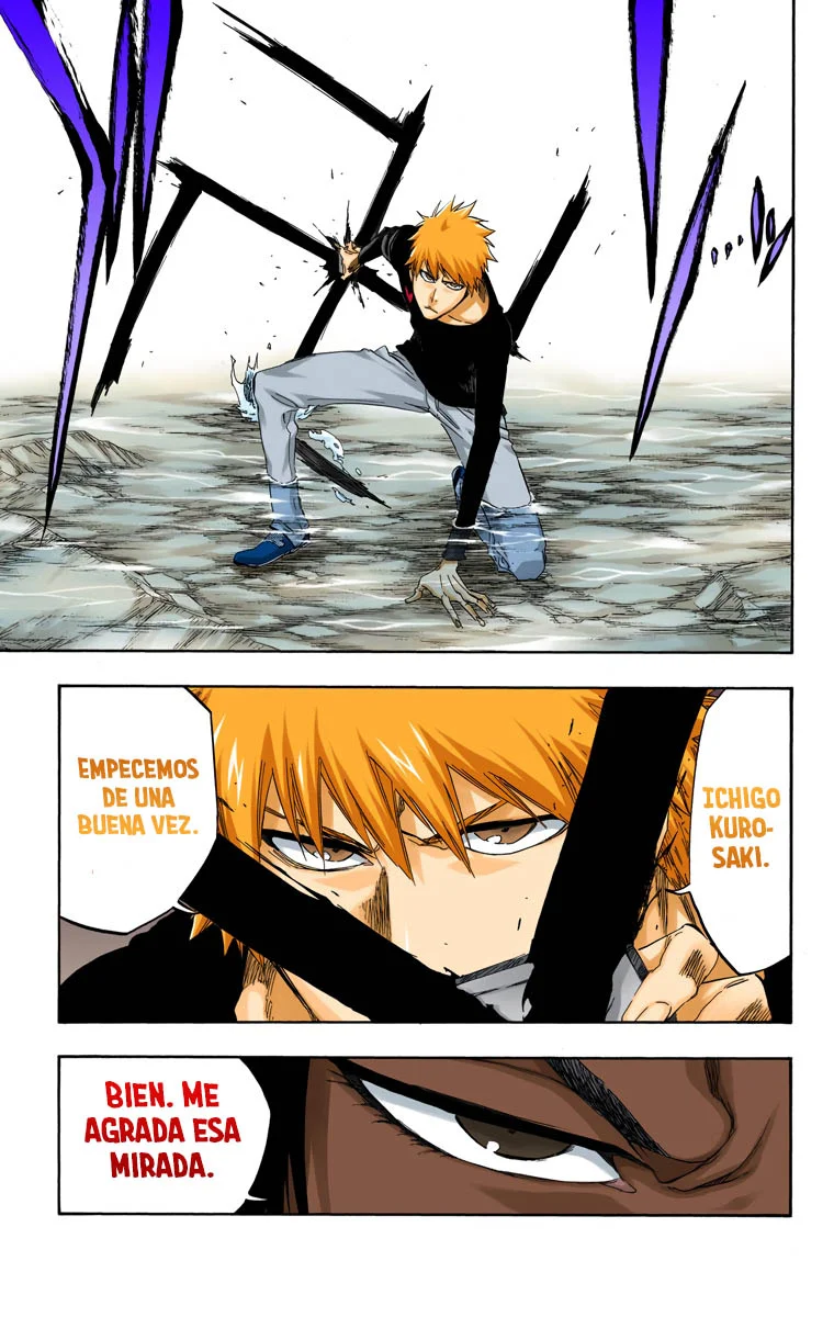 Bleach – Digital Colored Comics Capítulo 441 - Page 20