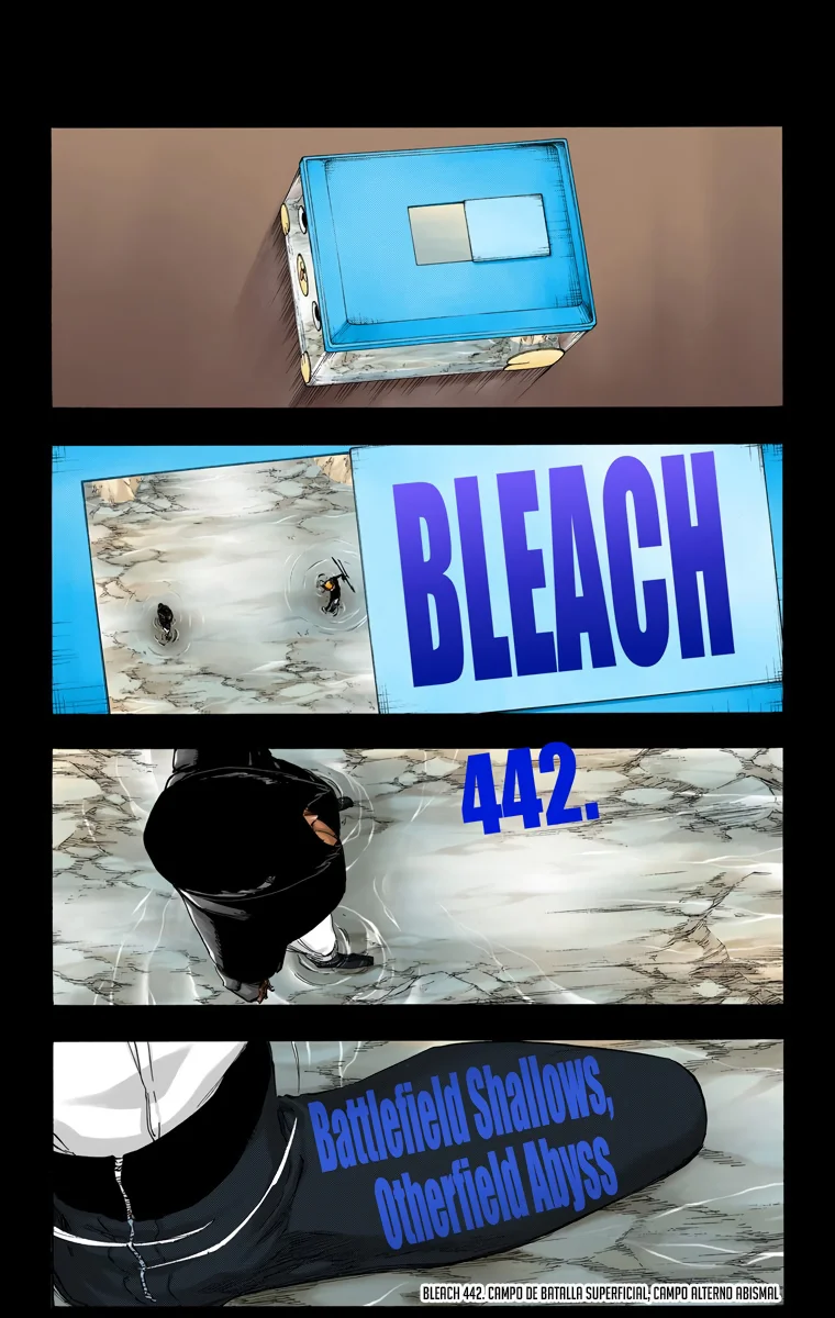 Bleach – Digital Colored Comics Capítulo 442 - Page 8