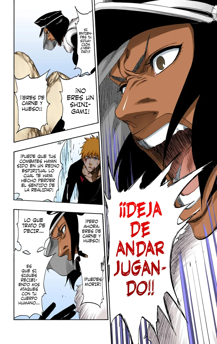 Bleach – Digital Colored Comics Capítulo 443 - Page 13